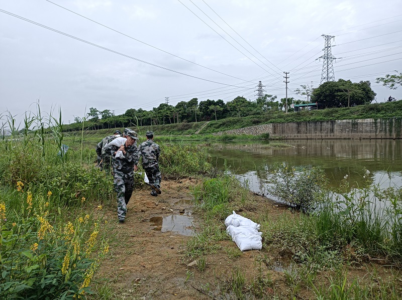 民兵应急队填装沙袋.jpg