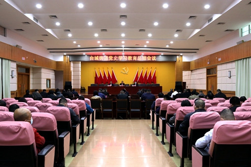 台城街道党史学习教育总结会议（大景）IMG_9528_副本_副本.jpg