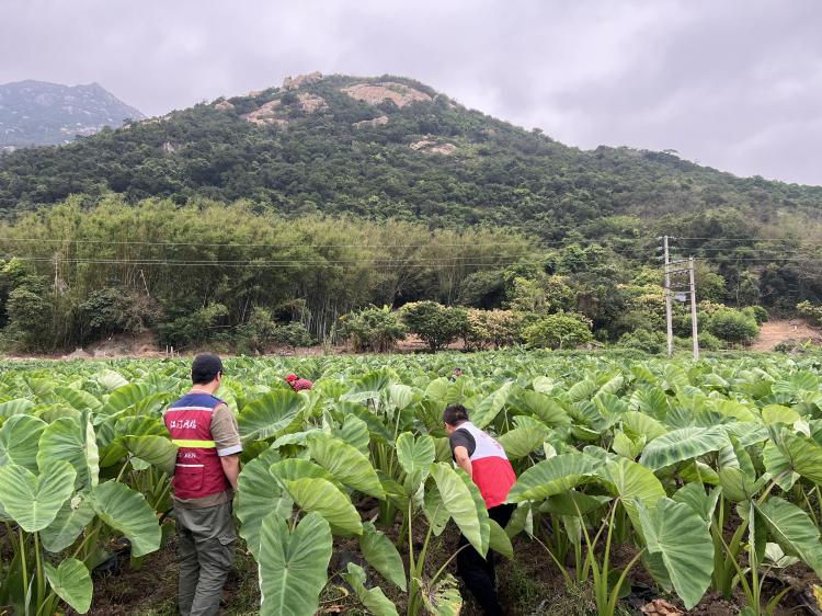 在寨门村，镇村干部和网格员一对一走访了解村民在春耕生产中的实际困难，特别关注困难群体的春播、插秧等工作，协助解决农忙时节人力不足的问题(1).jpg